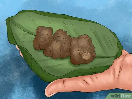 Image titled Prepare for Your Dog's Annual Vet Exam Step 6