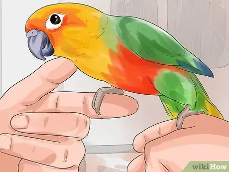 Image titled Perch Train Your Parakeet Step 10