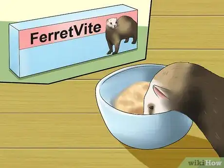 Image titled Keep Your Ferret's Hair Healthy Step 4