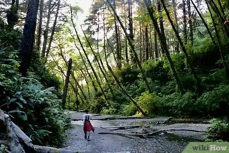 Image titled Fern Canyon_Photoshop_Course_Lesson4