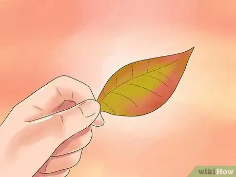 Image titled Care for a Weeping Cherry Tree Step 5