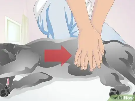 Image titled Perform CPR on a Dog Step 13