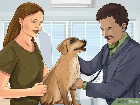 Image titled Treat Canine Incontinence Step 2