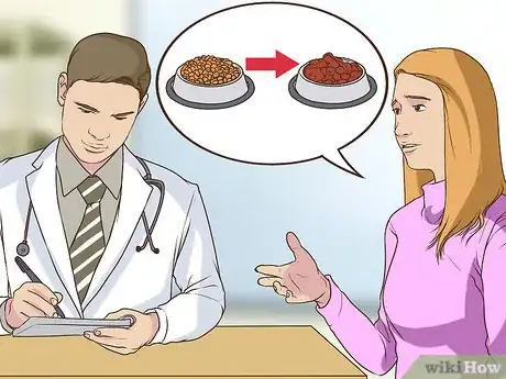 Image titled Watch for Common Senior Cat Health Issues Step 10