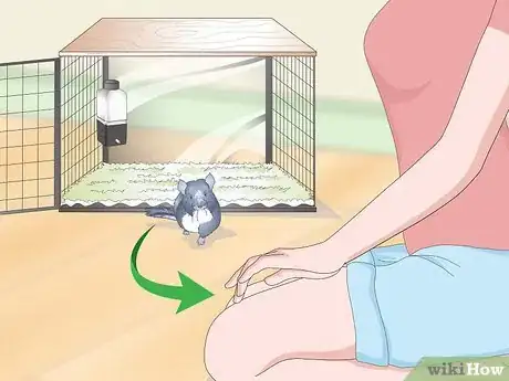 Image titled Help Your Chinchilla Adjust to its New Home Step 17