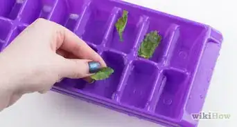 Make Ice Cubes with an Ice Tray