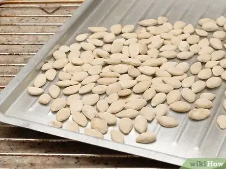 Image titled Roast Squash Seeds Step 9