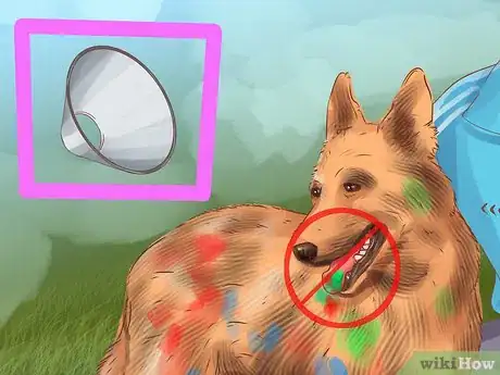 Image titled Protect Pets from Home Repair Dangers Step 7