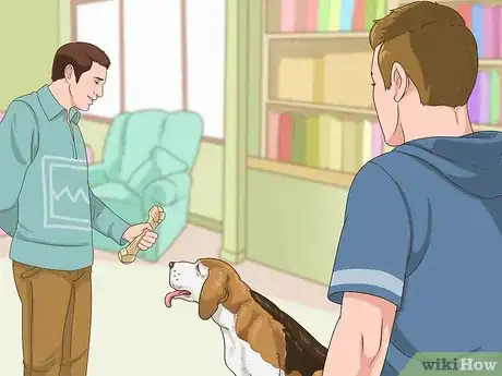 Image titled Manage Behavioral Dysfunction in Older Dogs Step 13