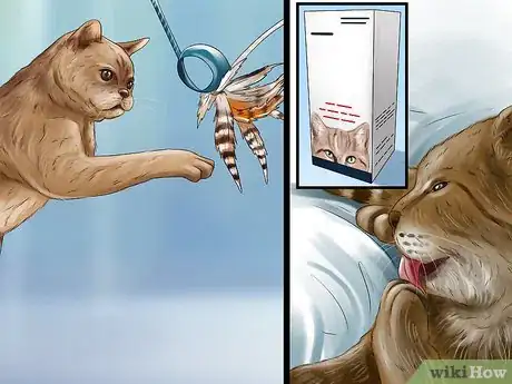 Image titled Deal with Stress‐Related Skin Problems in Cats Step 4