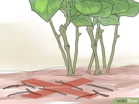 Image titled Prune Drift Roses Step 14