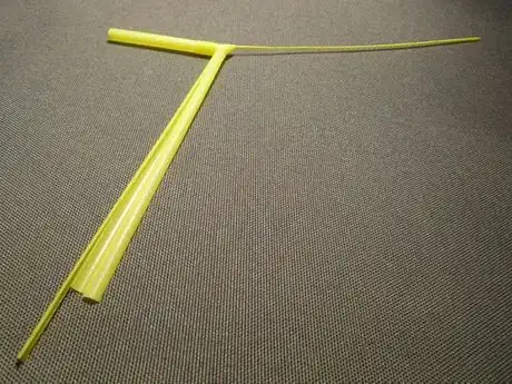 Image titled Shachi12_837.JPG