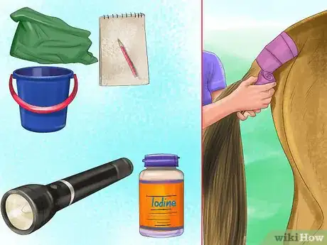 Image titled Prepare a Stall for a Pregnant Mare Step 3