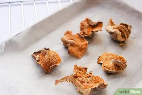 Image titled Dry Mushrooms Step 8