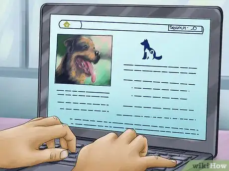 Image titled Adopt a Rottweiler Step 7