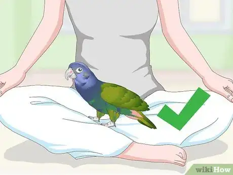 Image titled Bond with a Pionus Parrot Step 18