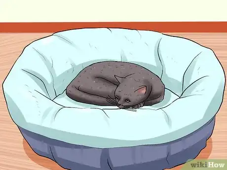 Image titled Decide Whether to Move a Pet Overseas Step 4