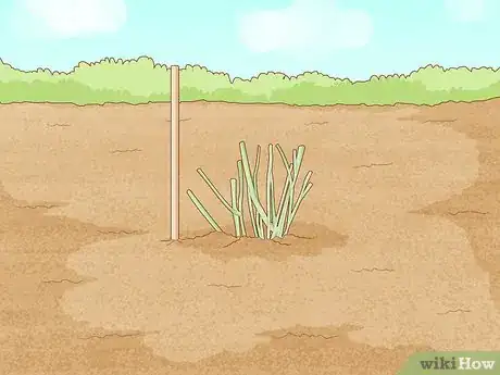 Image titled Plant Roots Step 6