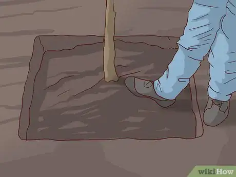 Image titled Care for a Living Christmas Tree Step 14