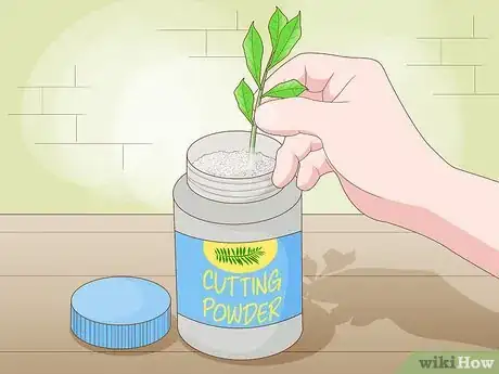 Image titled Plant Roots Step 9