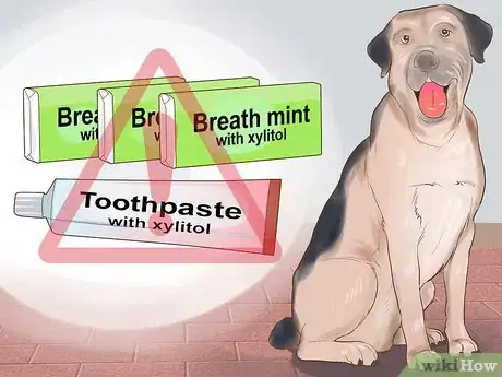 Image titled Avoid Foods Dangerous for Your Dog Step 5