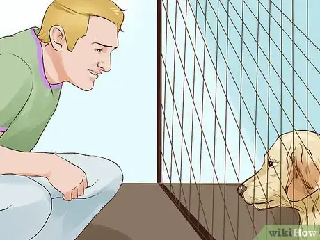 Image titled Choose a Hypoallergenic Dog Step 5