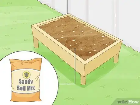 Image titled Grow Agave Plants Step 3