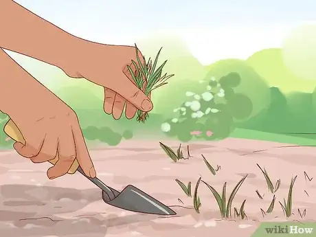 Image titled Grow Your Own Bouquet Step 7