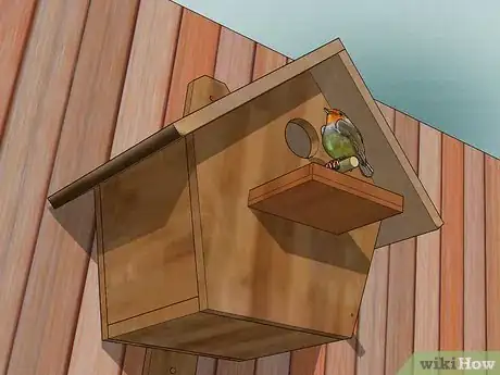 Image titled Keep False Widow Spiders Out of Your House Step 3