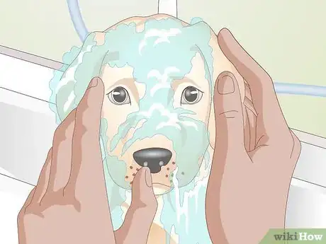 Image titled Shower a Puppy Step 10