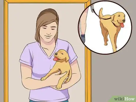 Image titled Introduce a Puppy to a Senior Dog Step 6