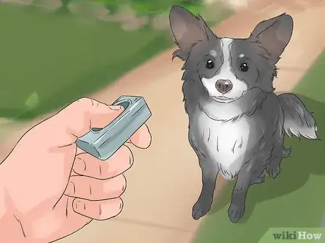 Image titled Give Dogs What They Need Step 17