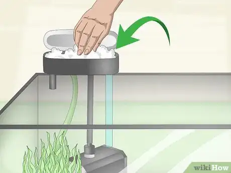 Image titled Care for Fancy Goldfish Step 6