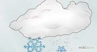 Germinate Beans on Moist Kitchen Paper