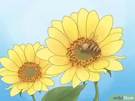 Image titled How Do Insects Help a Plant to Reproduce Step 1