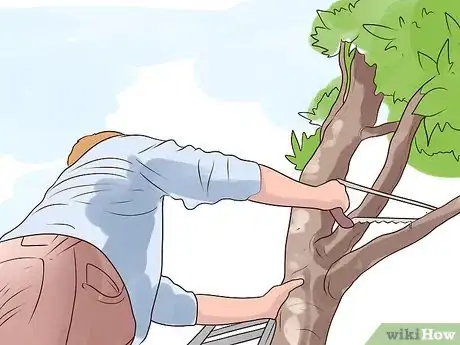 Image titled Control Wild Violets Step 10