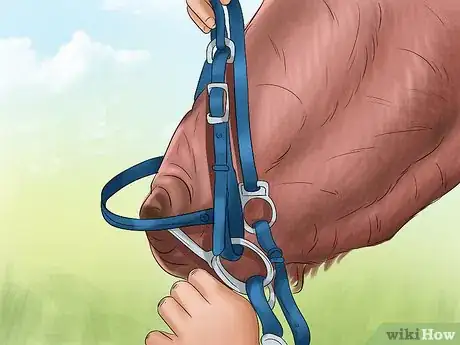 Image titled Choose a Bridle for Your Horse Step 8