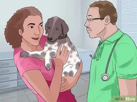 Image titled Care for German Shorthaired Pointers Step 21