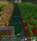 Grow Seeds in Minecraft PE