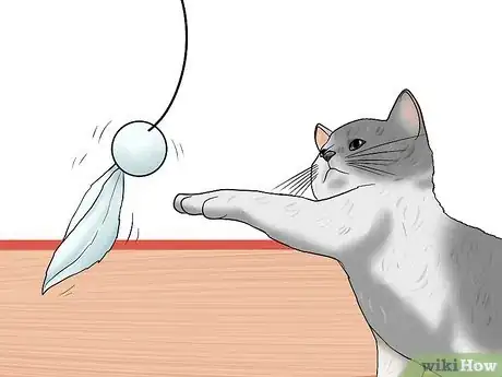 Image titled Get a Grumpy Cat to Like You Step 7