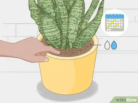 Image titled Prevent over Watering in House Plants Step 4