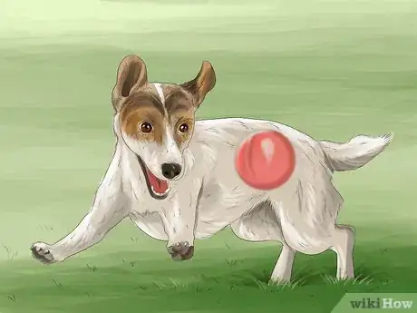 Image titled Identify Empathy in Animals Step 9