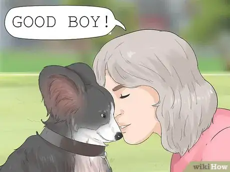 Image titled Give Dogs What They Need Step 16