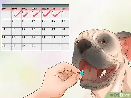 Image titled Treat Heart Conditions in Boxers Step 4