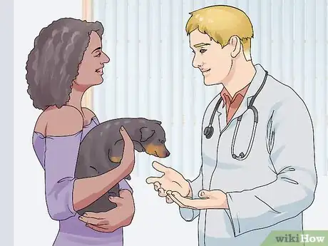 Image titled Give Your Dog a Treat Step 11