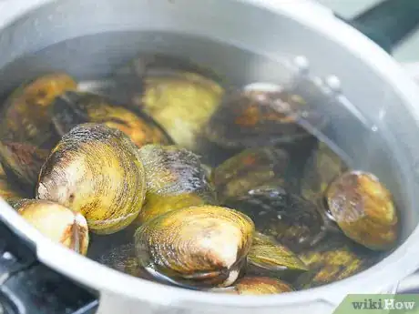 Image titled Steam Clams Step 7