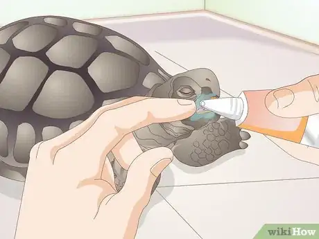 Image titled Treat Stomatitis in Tortoises Step 6