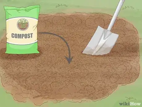 Image titled Grow Tatsoi Step 4