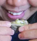 Cook Oysters