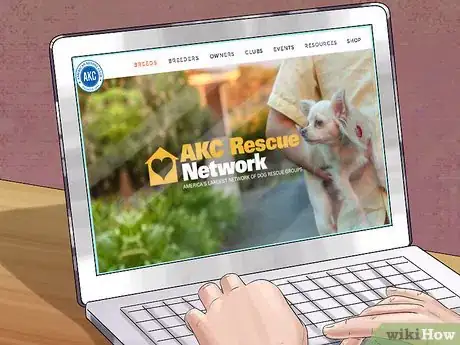 Image titled Find an AKC Puppy Step 10